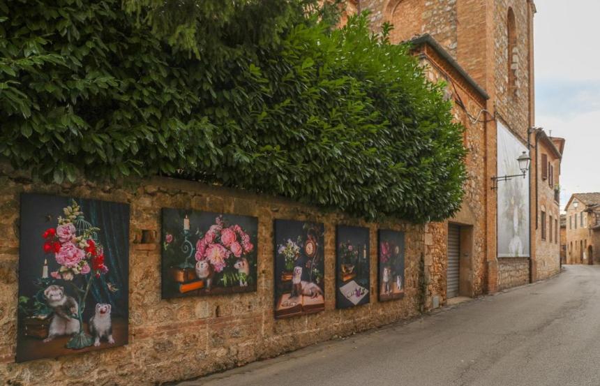 a brick wall with pictures of flowers on it at Lo Scorcio su Sovicille in Sovicille