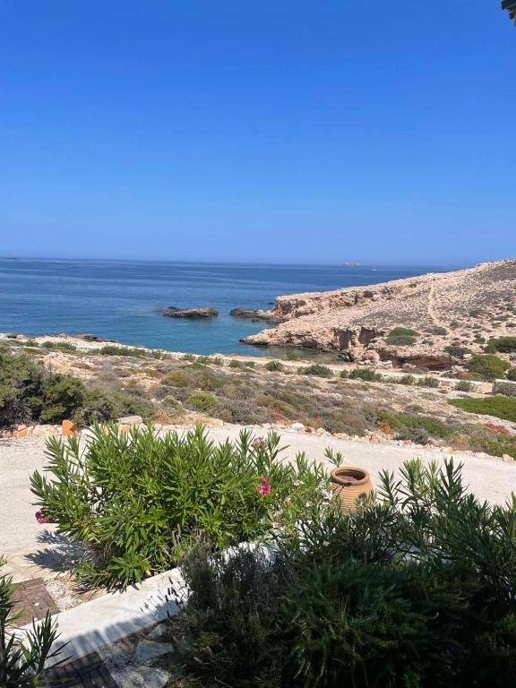 a beach with plants and the ocean in the background at Dejableu - Island Living Paros in Sarakíniko