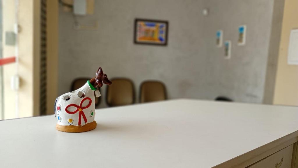 a small toy dog on a counter in a room at Hostel Mar in São Luís