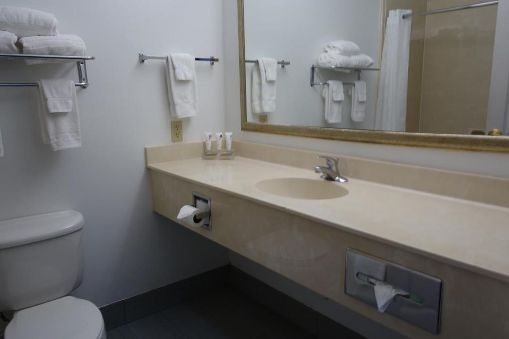 Country Inn & Suites by Radisson, Round Rock, TX - Estudio King Con Sofá Cama