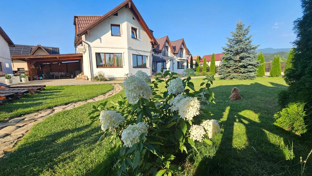 a house with white flowers in the yard at Casa Stefu in Râşnov