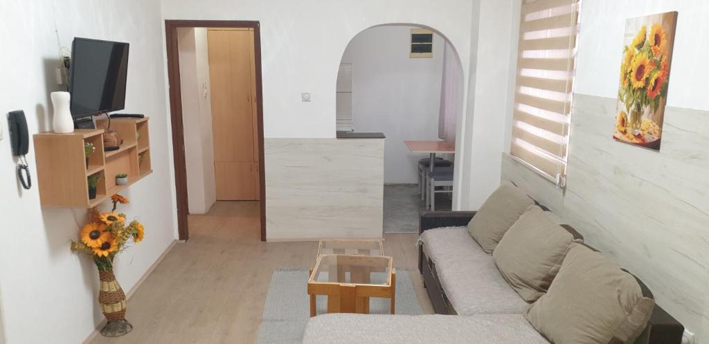 city center apartment 1 - Housity