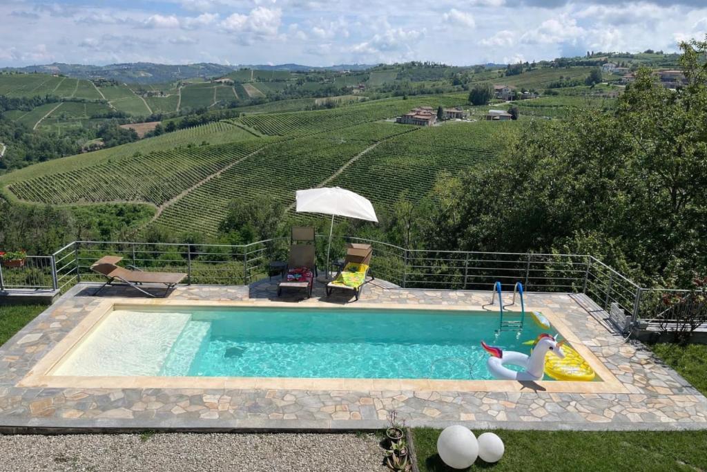 a swimming pool with a toy duck on a slide at A Casa di Beppe a Monforte dAlba in Monforte dʼAlba