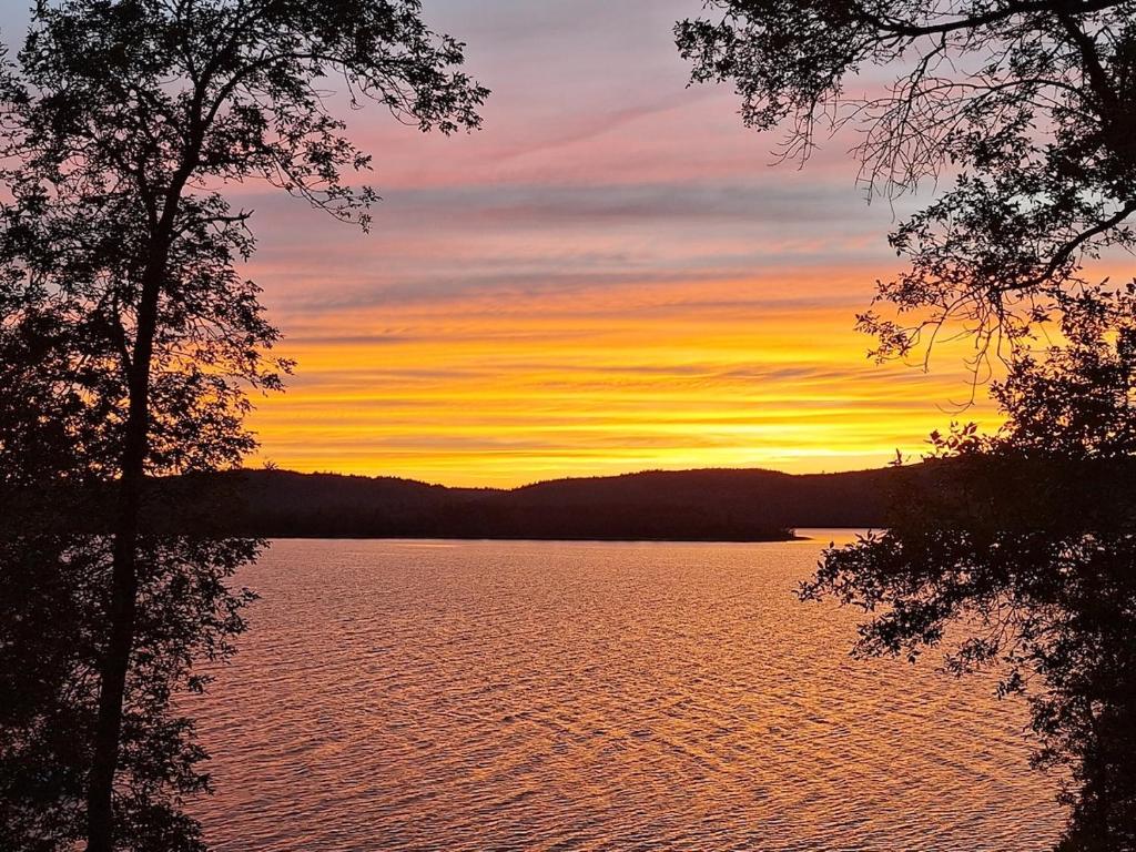 a sunset over a body of water with trees at Beautiful Waterfront Apartment Quispamsis, NB in Catons Island
