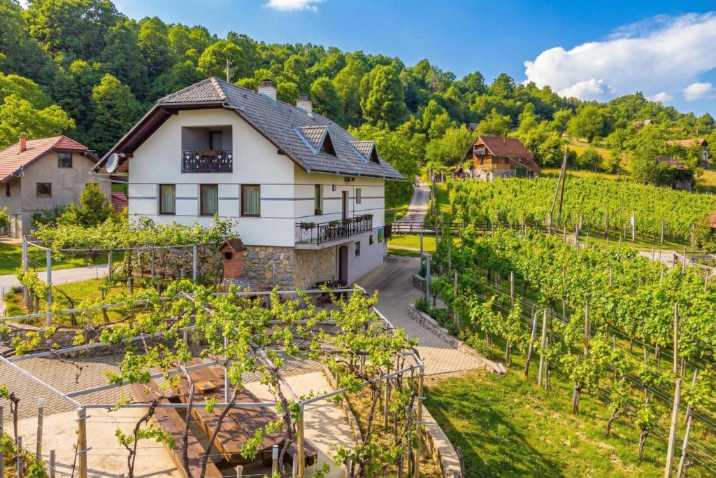a house in a vineyard with trees at Vrtin Vineyard Family Retreat - Happy Rentals in Dragatuš