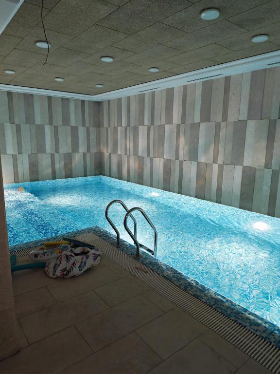 a large swimming pool with two metal rails in it at Dedinje Luxury Apartment with Spa & Garage in Belgrade