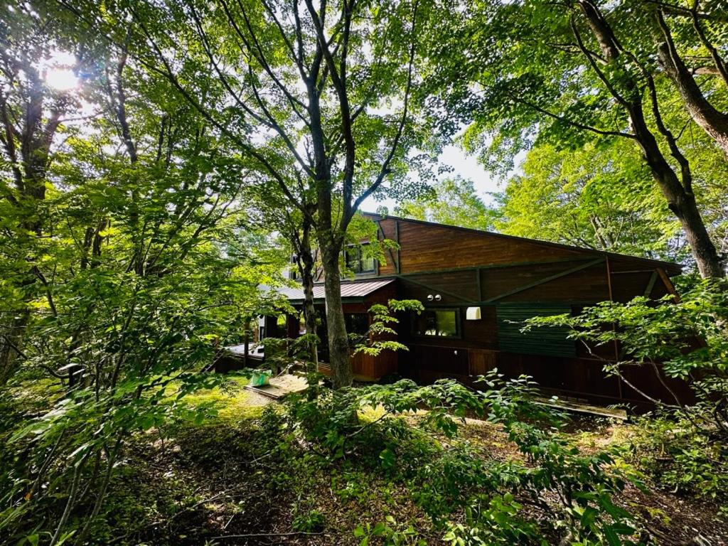 a house in the middle of a forest with trees at Tesoro Okushiga in Yamanouchi