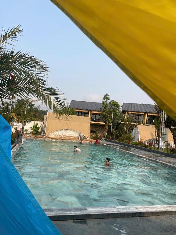 a group of people swimming in a swimming pool at May Farm in Hương Hóa