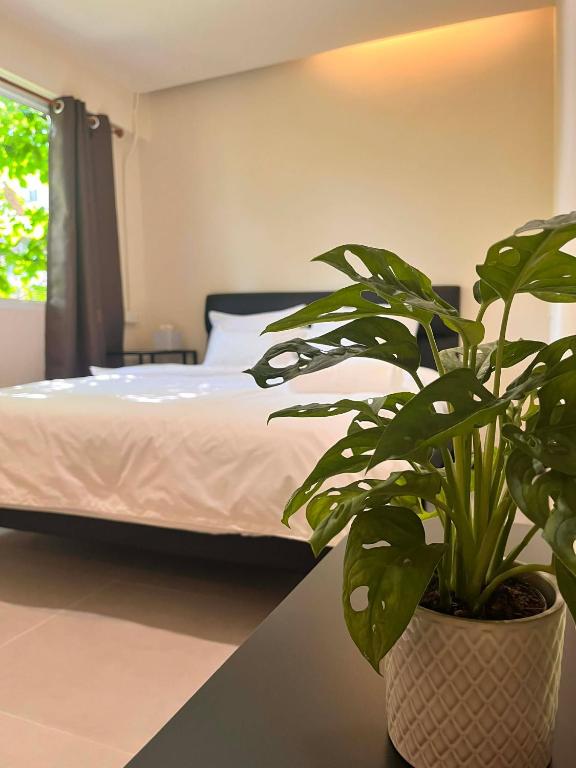 a bedroom with a bed and a potted plant at EAIN-WORKplusSTAY in Bangkok
