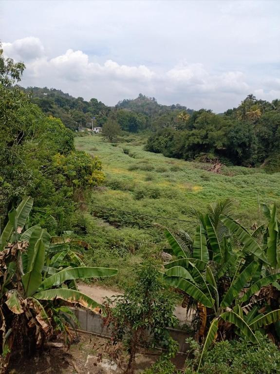 a field of grass with trees in the background at Padiwatte Residencies in Kandy