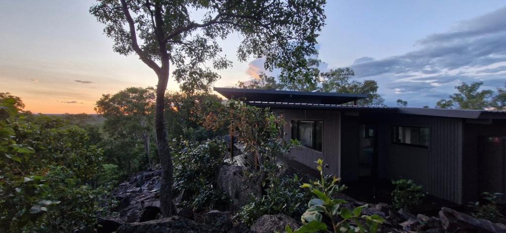 a house on a hill with a tree at The Ridge Retreat on Litchfield in Rum Jungle Station