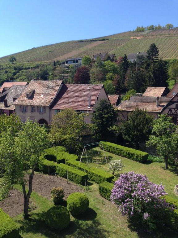 La cour du vigneron – photo 11