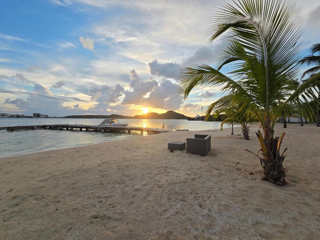 a beach with a palm tree and a chair on the sand at Coconest - Duplex on the beach in Baie Nettle
