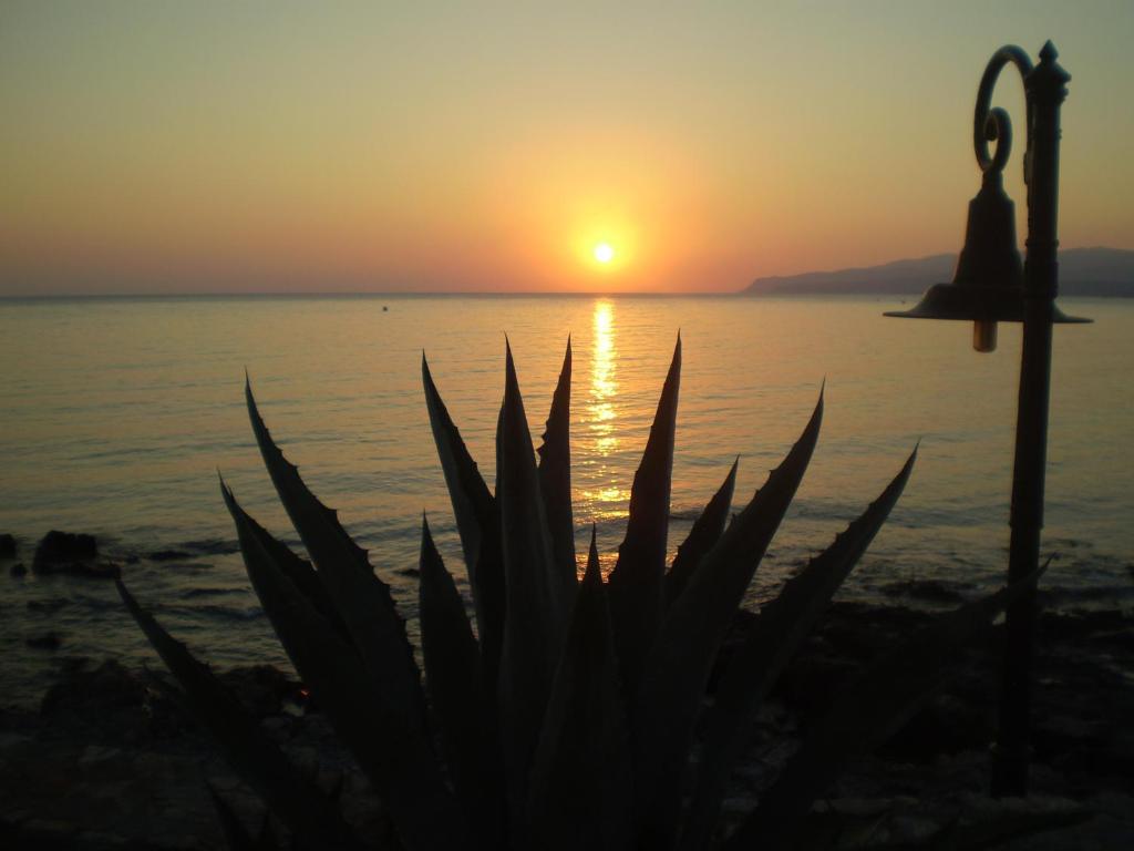 a sunset on the beach with a plant in the foreground at Stalida Holiday Home in Stalida