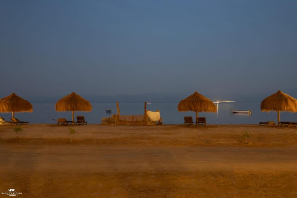 a group of straw umbrellas and chairs on a beach at The Sea side camp nuweiba in Nuweiba