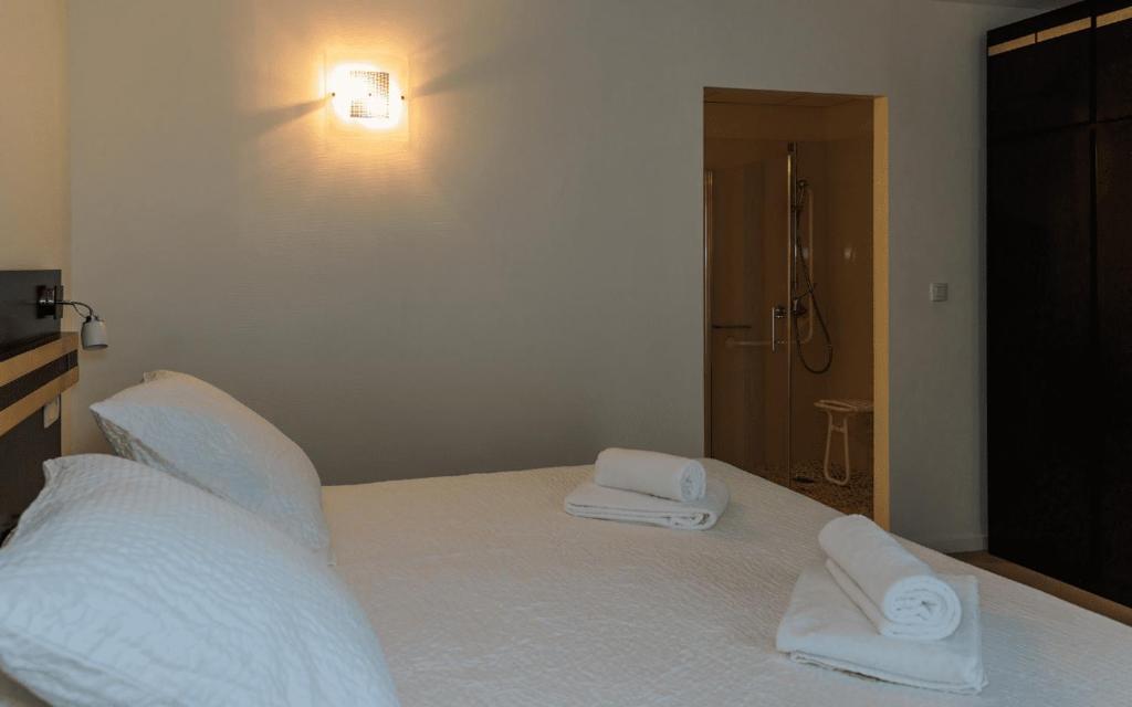 Logis Hôtel Restaurant Auberge de la Xaintrie - Budget Tweepersoonskamer