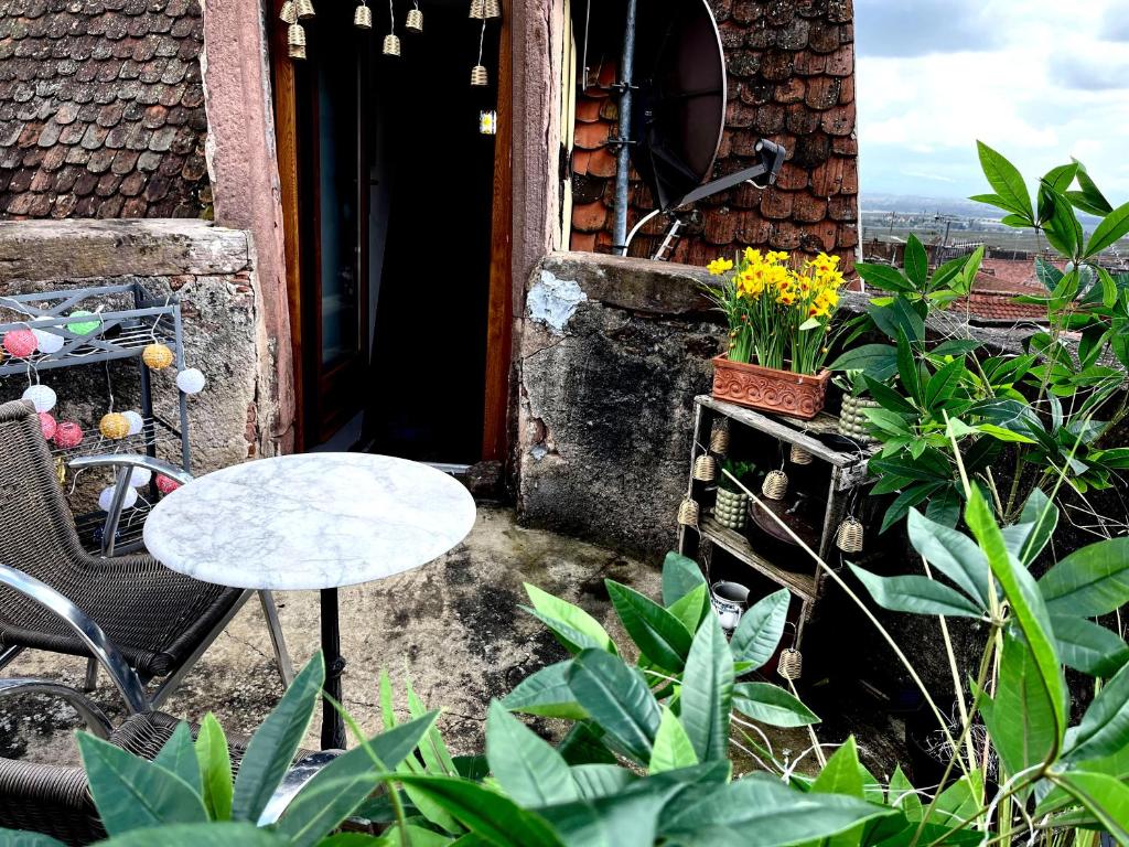 Gîte Le Chemin de Ronde – photo 20