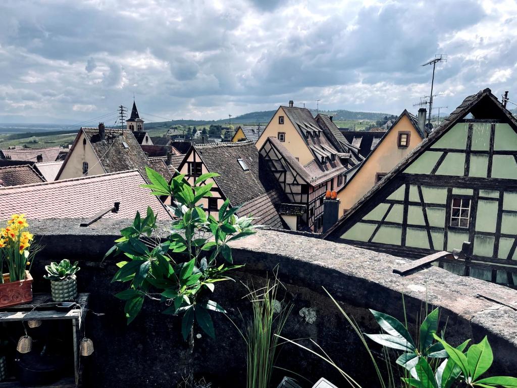 Gîte Le Chemin de Ronde – photo 21