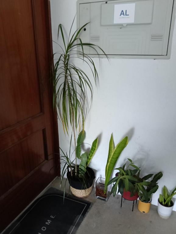 Lisbon Room