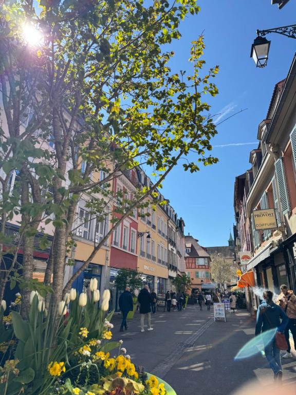 Charming apartment in the heart of Colmar – Foto 9
