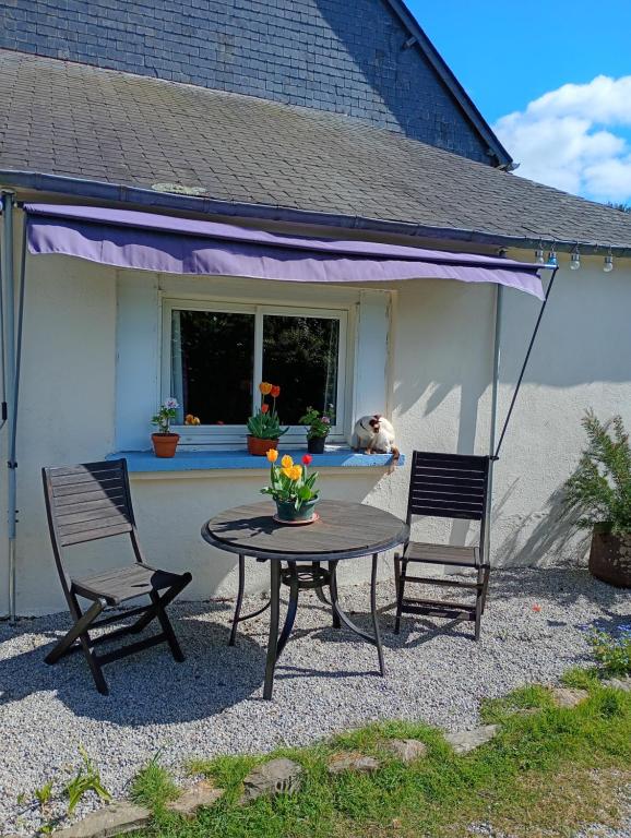 a patio with a table and two chairs and a dog at Chez Molly in Glomel