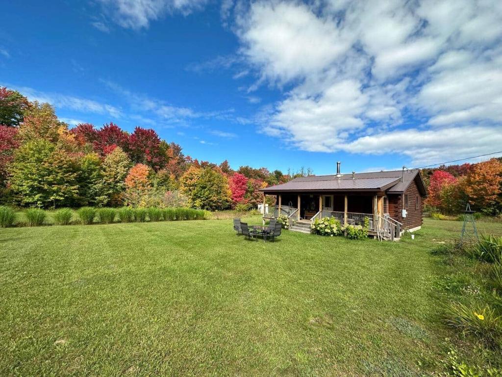 a cabin in the middle of a large yard at Connie's Little House in Elmira