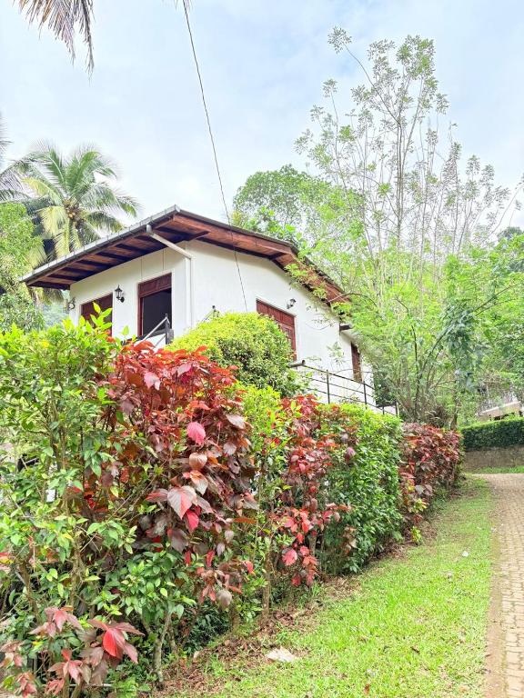 a white house with a bunch of bushes at Laa Villa Kandy in Kandy