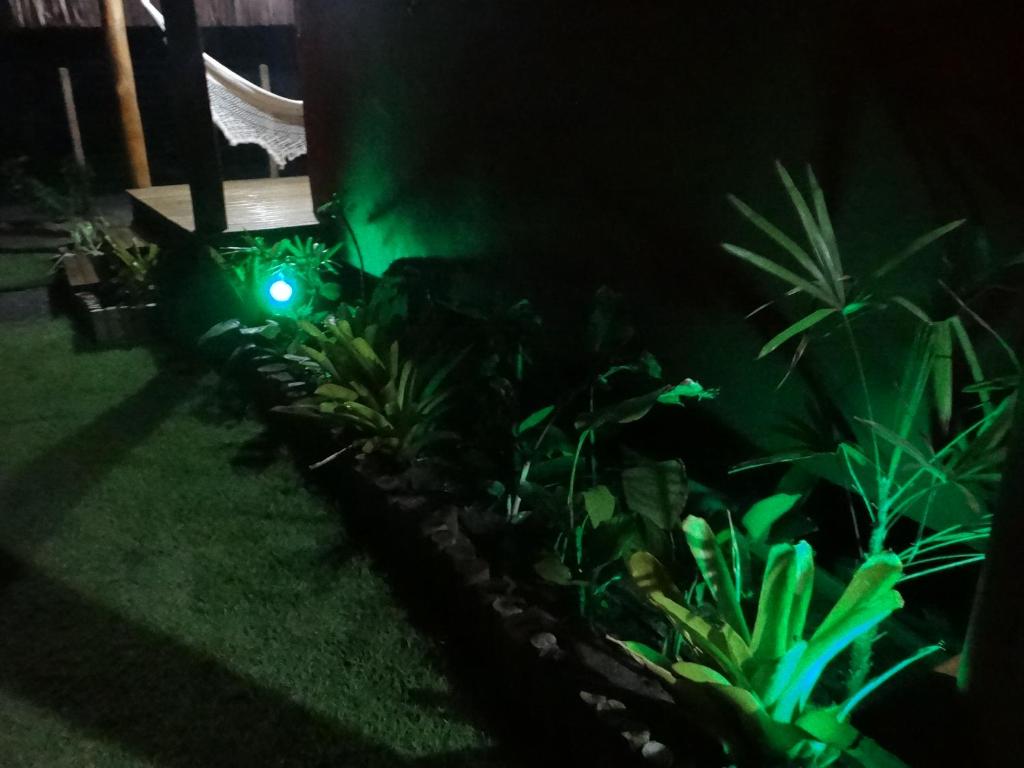  Casas Belas de Taipu