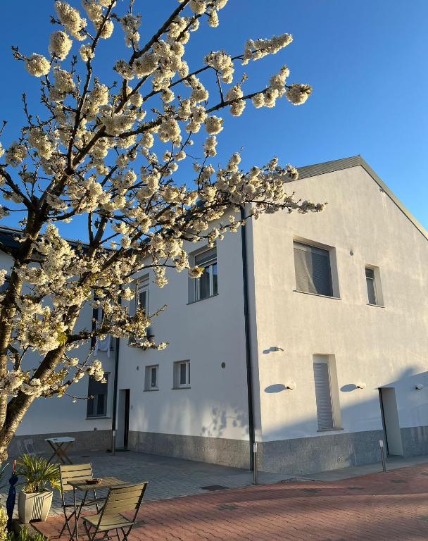 a building with a flowering tree in front of it at Villa Ibra - Rho Fiera & Milano, Garden & Parking in Paderno Dugnano
