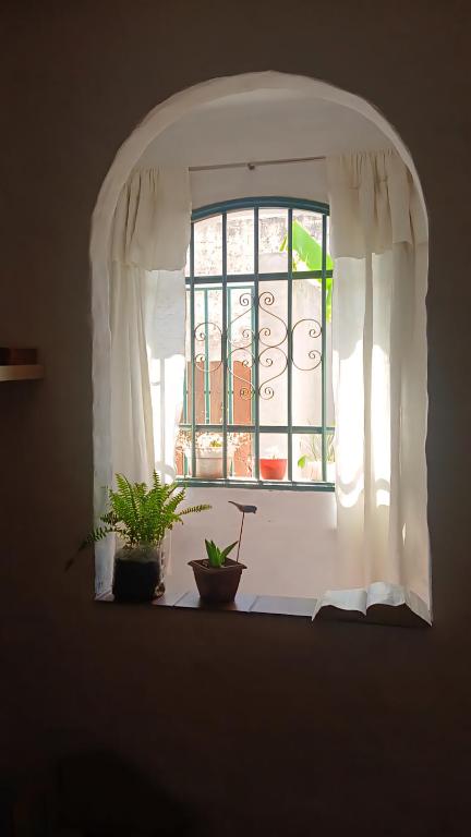 a window with two potted plants in front of it at Refugio del Limonero - Colonial y Cercano in Córdoba