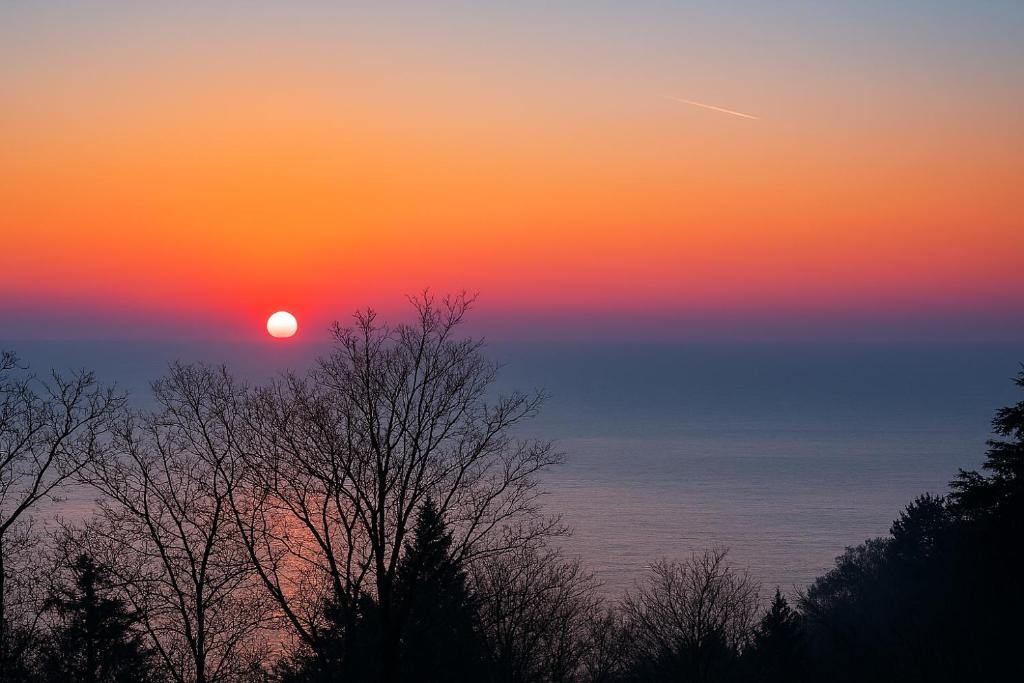 a sunset over the ocean with trees in the foreground at ApartVilla Trieste in Trieste