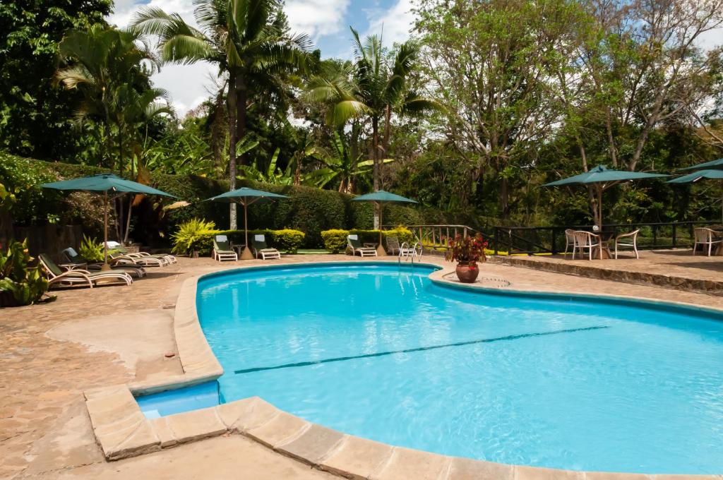 a swimming pool with chairs and umbrellas at Aishi Machame in Moshi