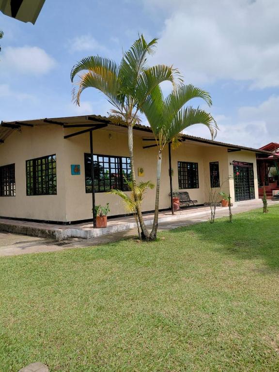 a building with a palm tree in front of it at Finca Montenegro Quindio in Montenegro