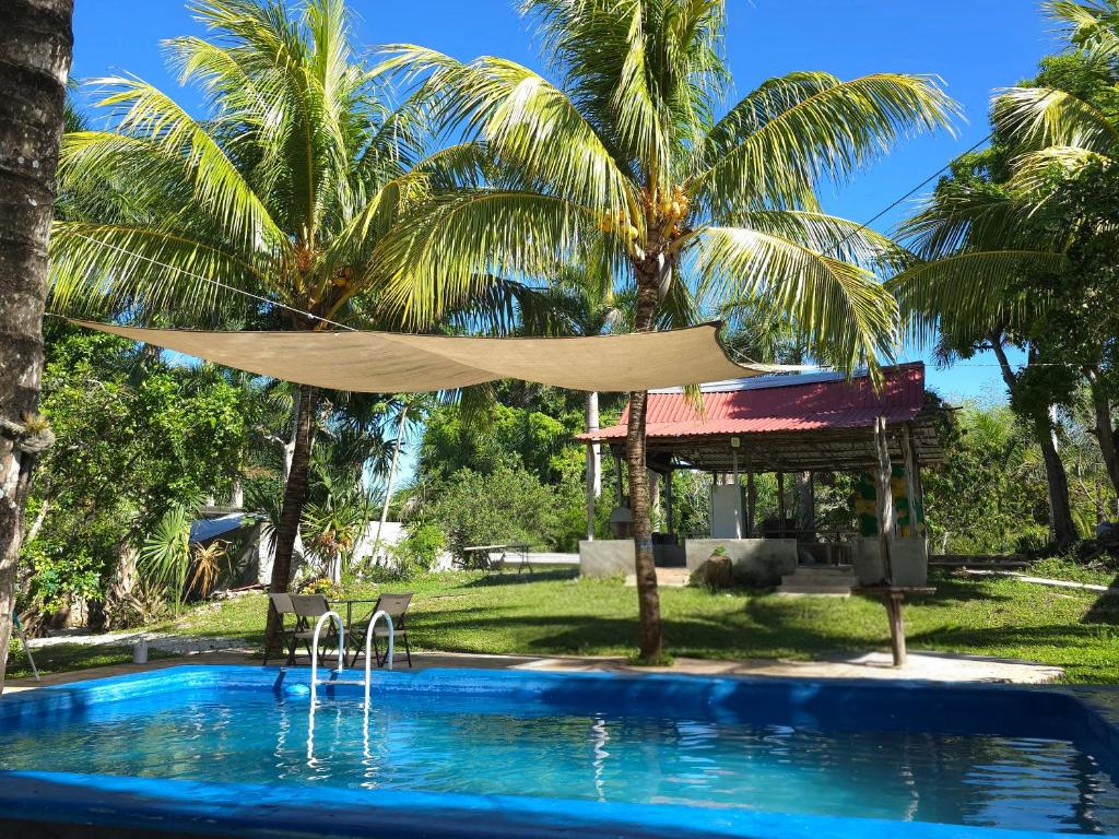 a hammock in front of a pool with palm trees at Villa Carulio in Ebtún