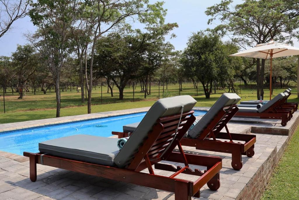 a row of lounge chairs next to a swimming pool at Hemel Bushveld Lodge in Vaalwater