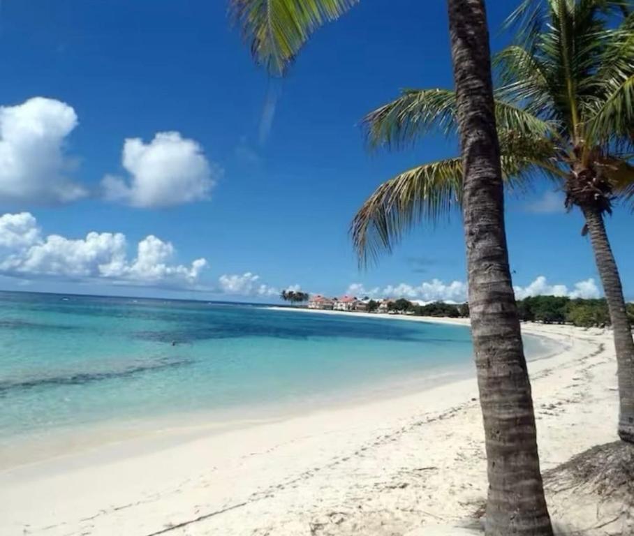 a beach with two palm trees and the ocean at Grain de Corail in Saint-François
