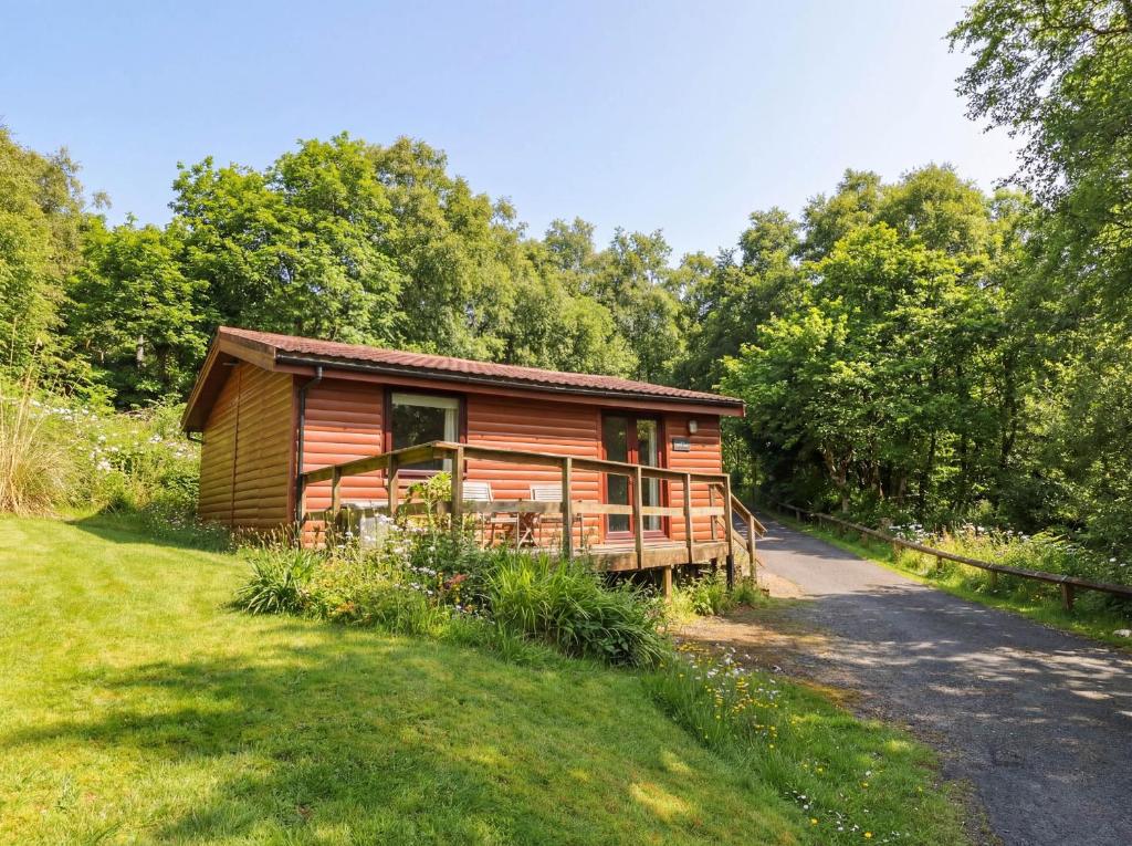 a cabin in the woods with a grass field at Thistle Lodge in Dunoon