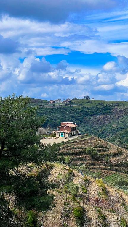 a house on top of a hill with a field at Ayda Bağları Winery & Vineyards in Seferihisar