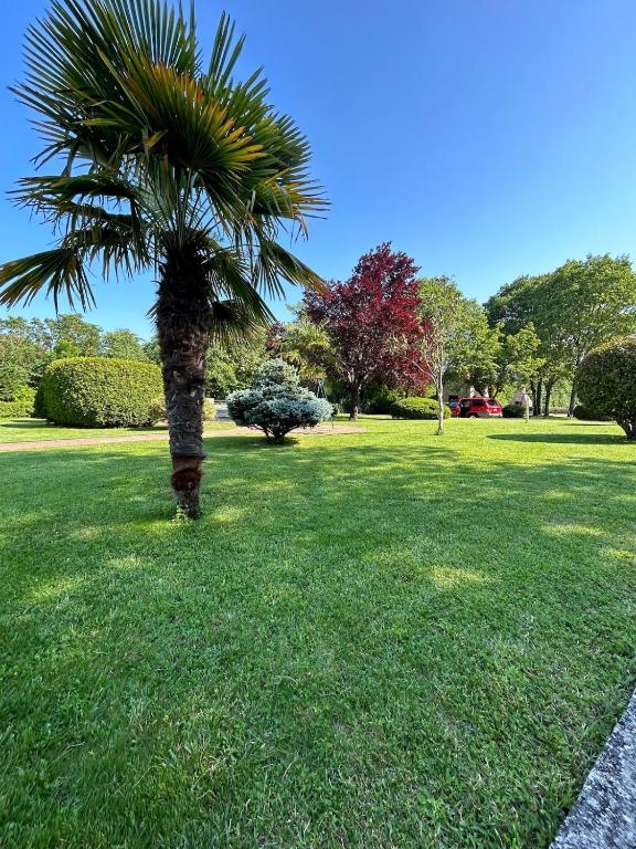 a palm tree in a field of grass at AS Holiday Home in Ljubuški