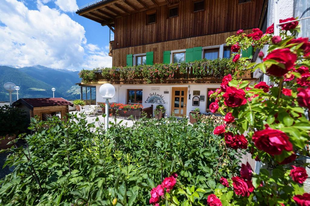 ein Gebäude mit roten Blumen davor in der Unterkunft B & B Apartments Ortlerblick in Schluderns
