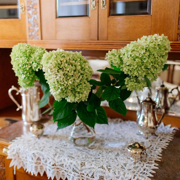 Boutique Hotel Nossek - Resim 28