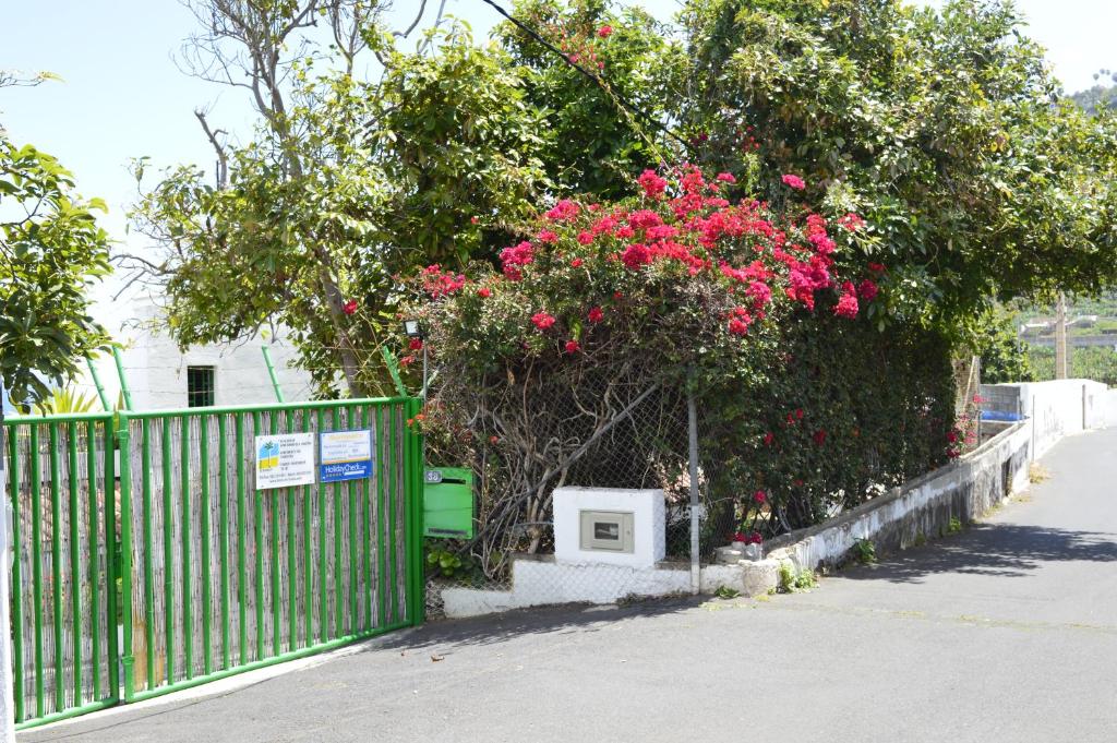 Fotografie z fotogalerie ubytování Apartments Finca El Rincón v destinaci La Orotava