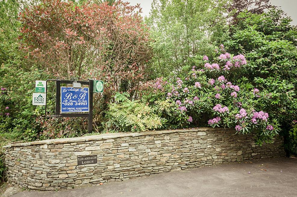 Zahrada ubytování Lis-Ardagh Lodge