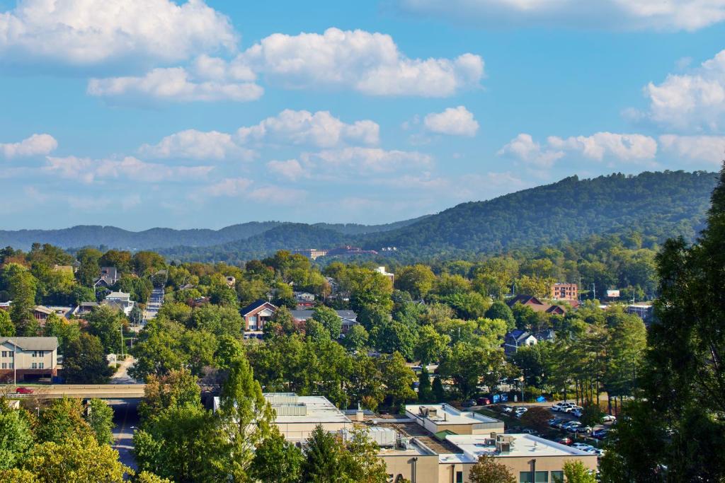 Renaissance Asheville Downtown Hotel - 