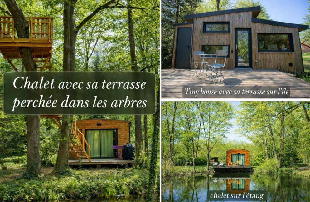 a tiny house in the woods next to a lake at Les Chalets Horizon in Saint-Just-de-Claix