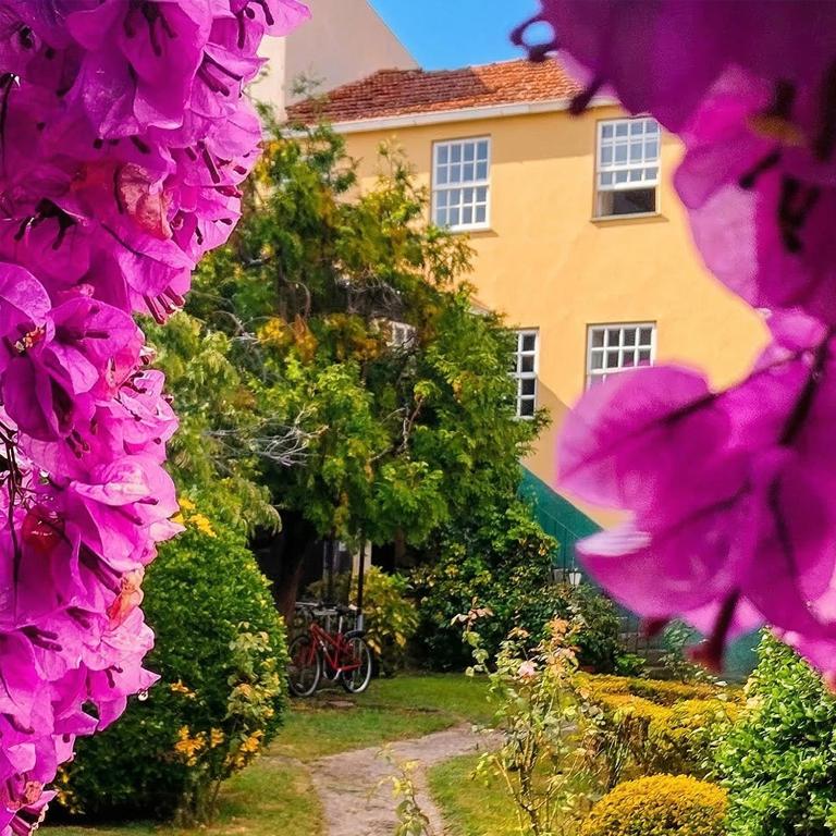 a house with pink flowers in front of it at Esposende Garden in Esposende
