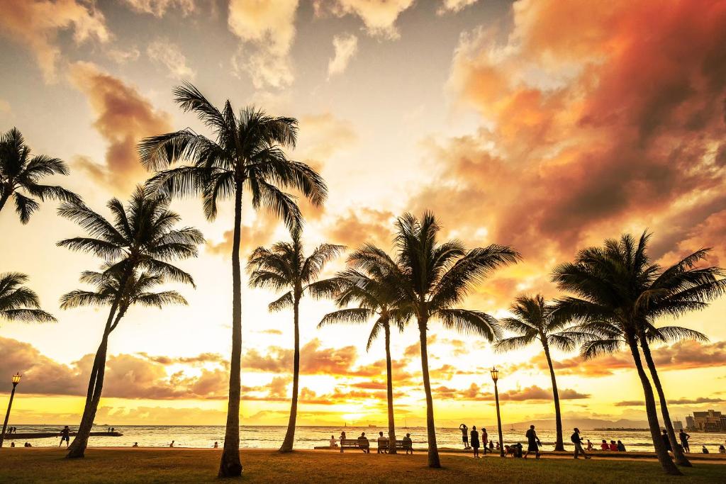a group of palm trees on a beach at sunset at Pagoda Hotel in Honolulu