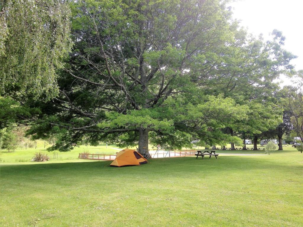 Parklands Marina Holiday Park - Resim 31