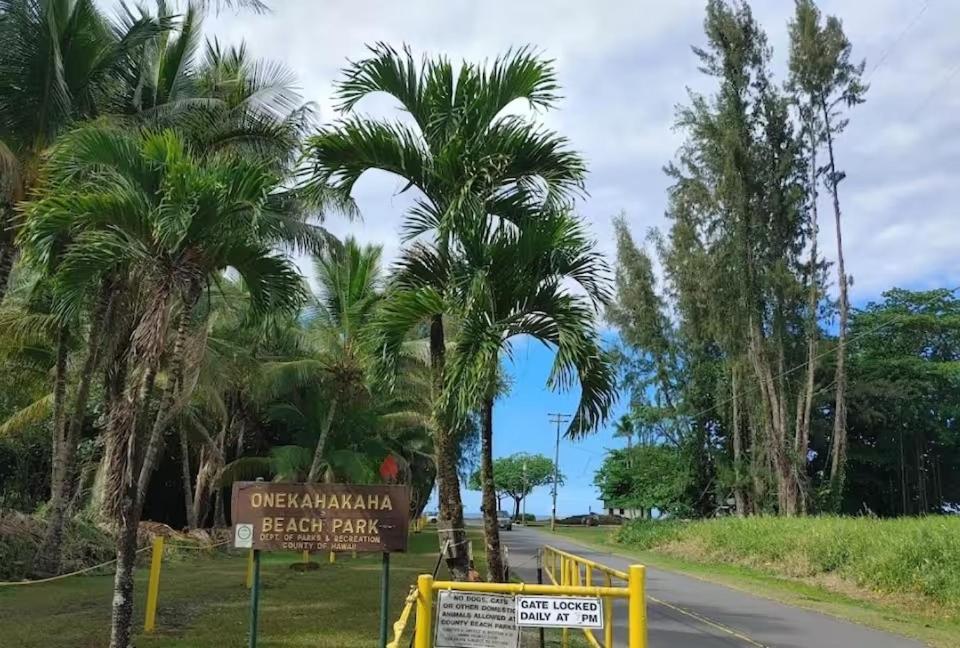 a street with palm trees on the side of a road at Oceanfront Views • Balcony + Top Hilo Location in Hilo