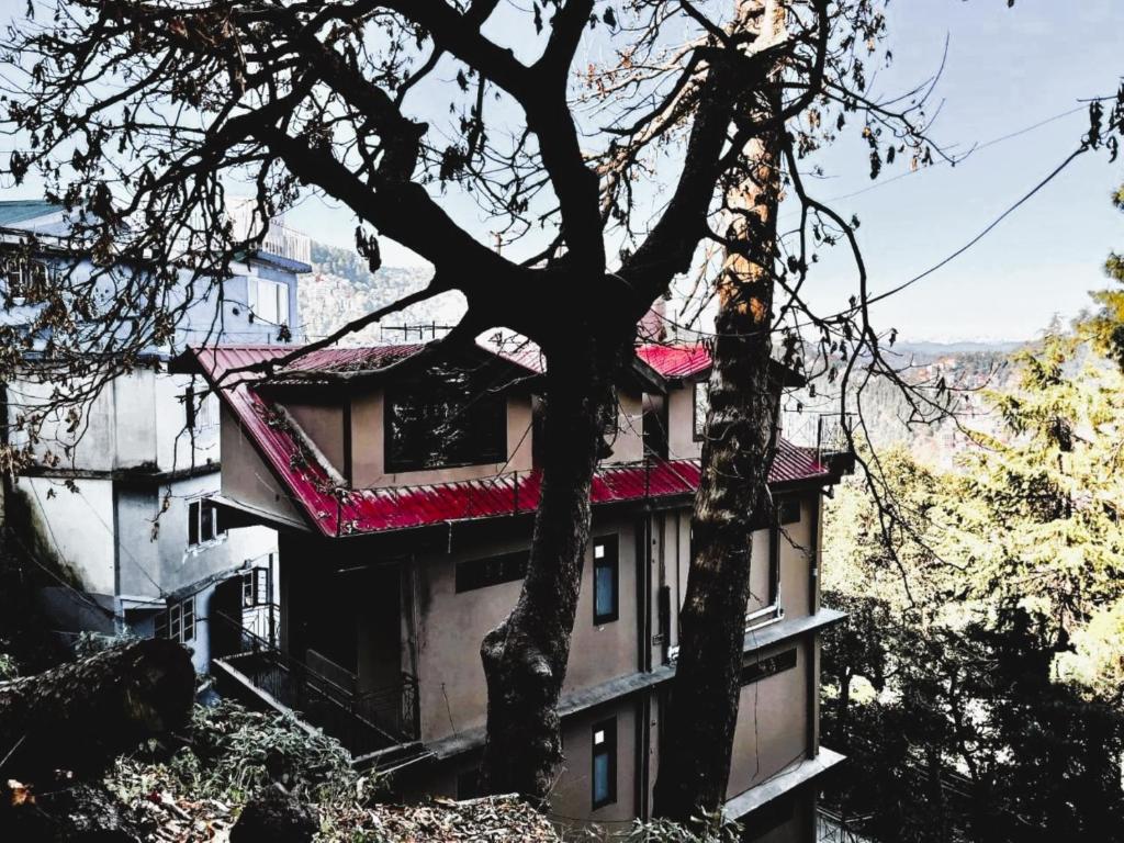 a building with a red roof next to a tree at Nirvana Rooms - Shimla in Shimla